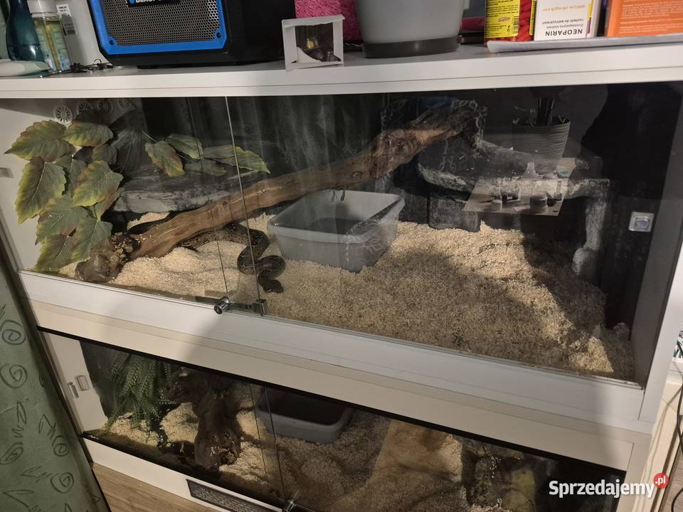 Terrarium Starachowice sprzedam