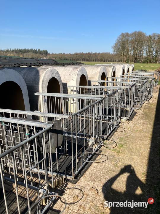 Iglo cieląt budki cieląt Krzewica