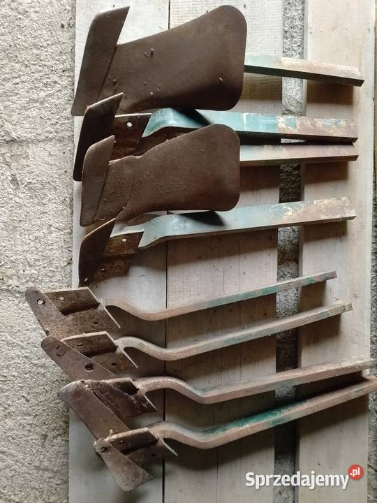 Przedpłużki vogel noot podkarpackie Brzezówka