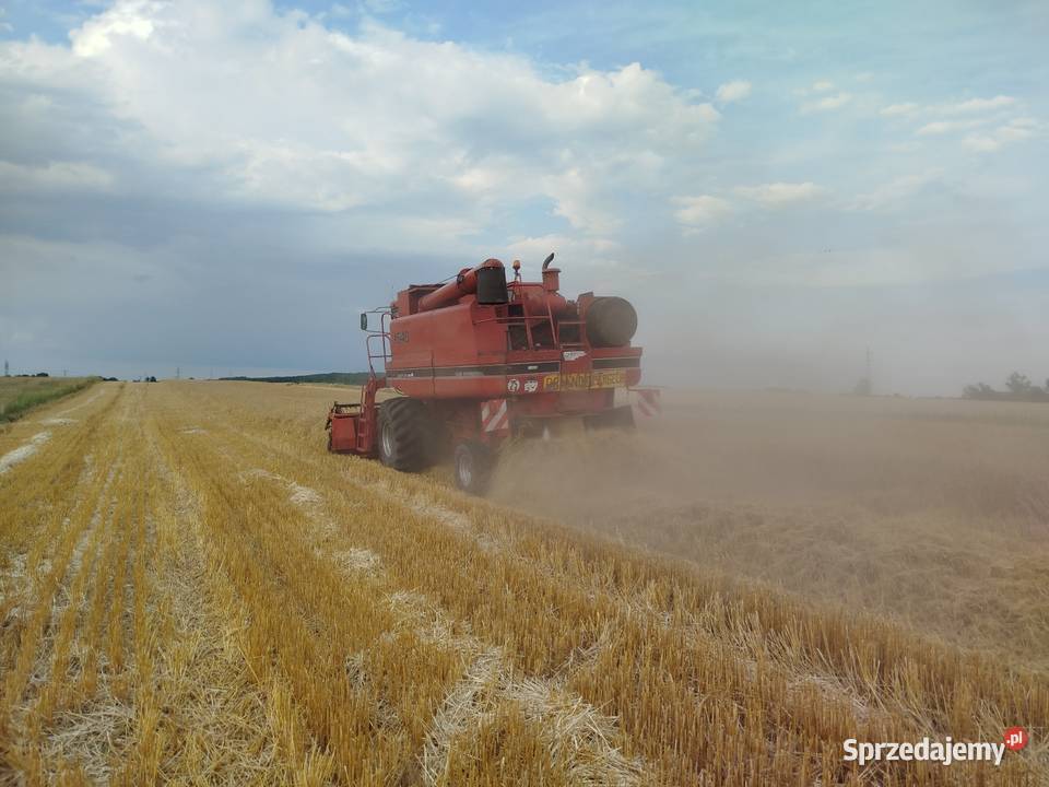 Kombajn zbożowy torowy Case 1640 Axial Flow Case IH Rejowiec Fabryczny
