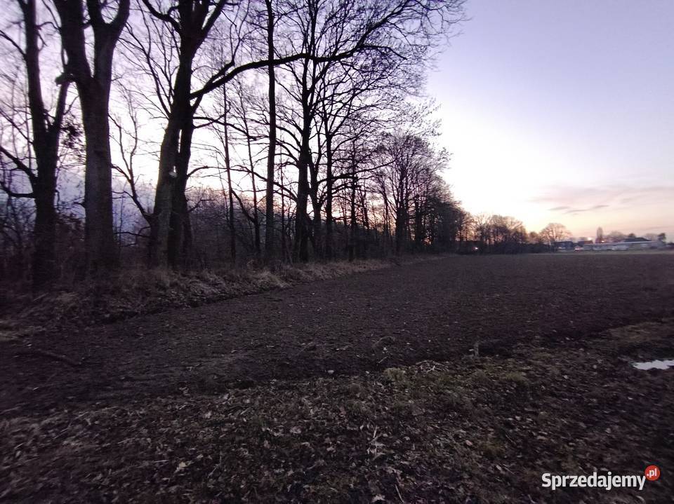 Sprzedam działkę Prudnik