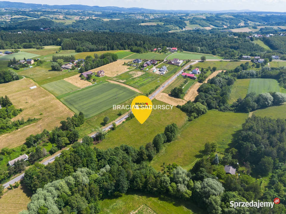 Działka 12200m2 Rzepiennik Strzyżewski Sprzedaż