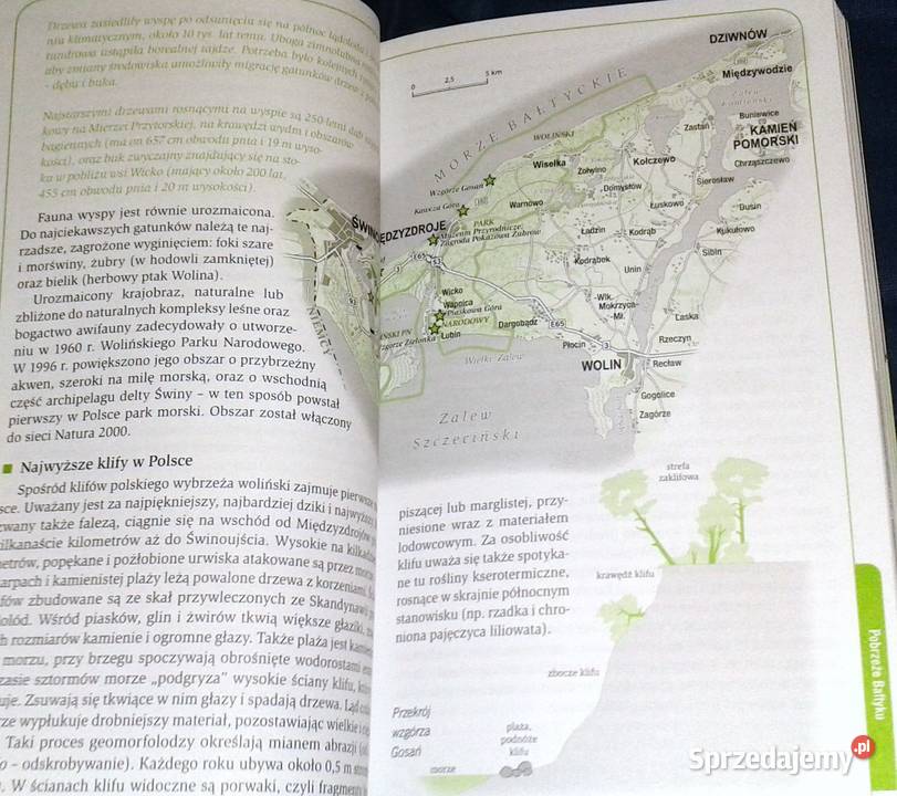 Zielona Polska Wojciech Lewandowski Robert Chełm