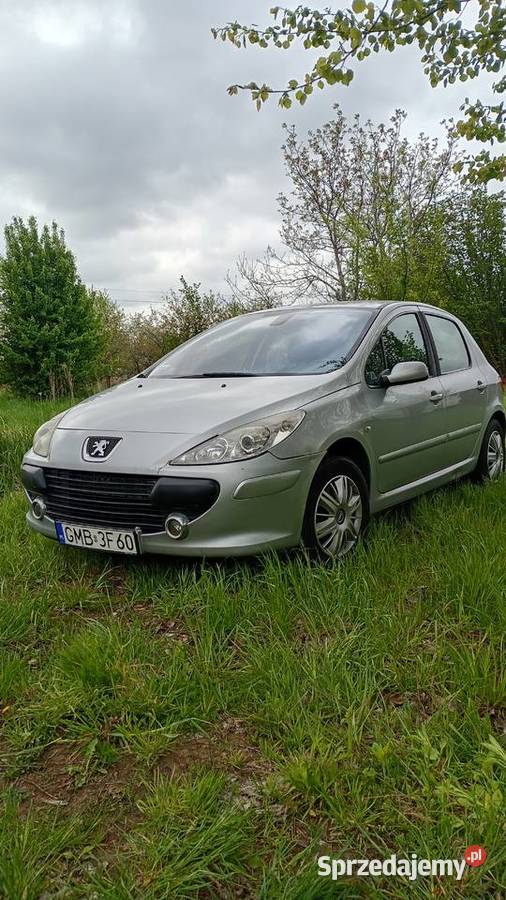 Peugeot 307 benzyna 16 Malbork