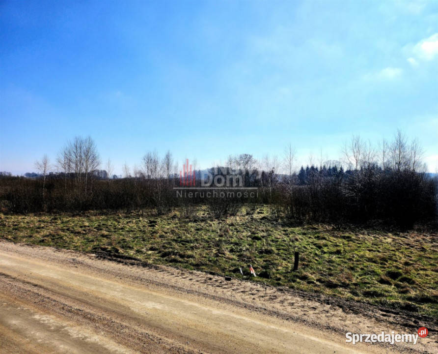 Grunt 1210m2 Spytkowo Sprzedaż sprzedam