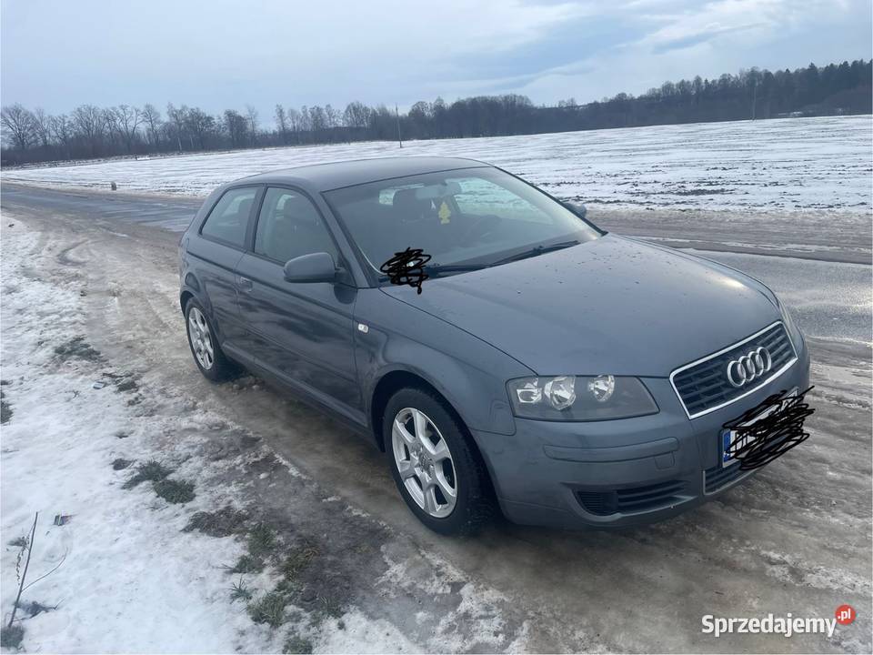 Audi A3 8P 16MPI sprzedam