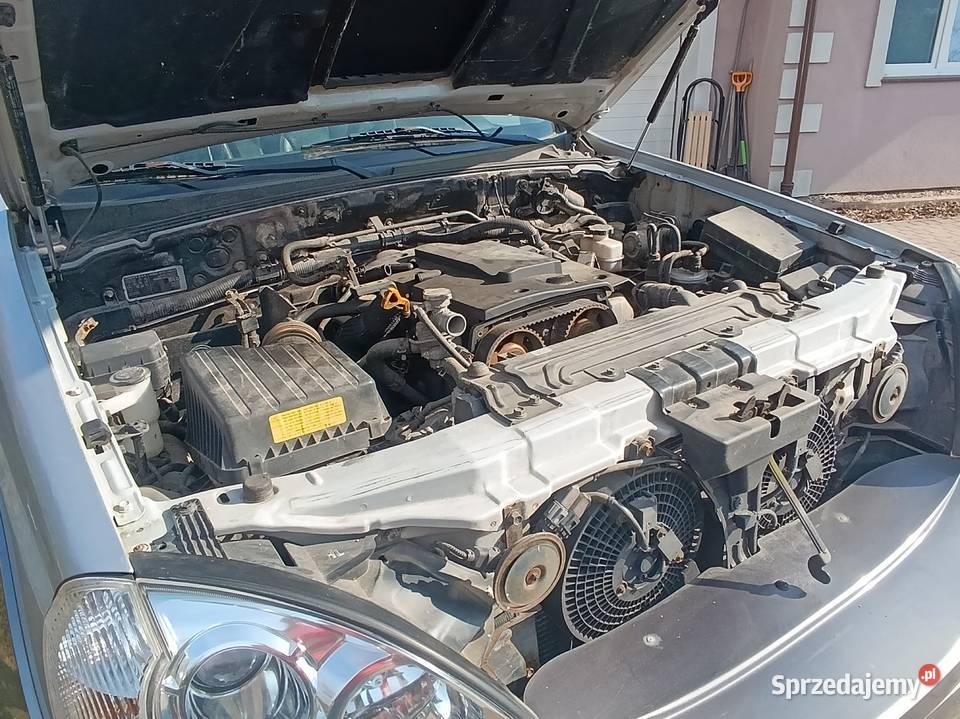 Hyundai terracan 29 2004r Borzechowo