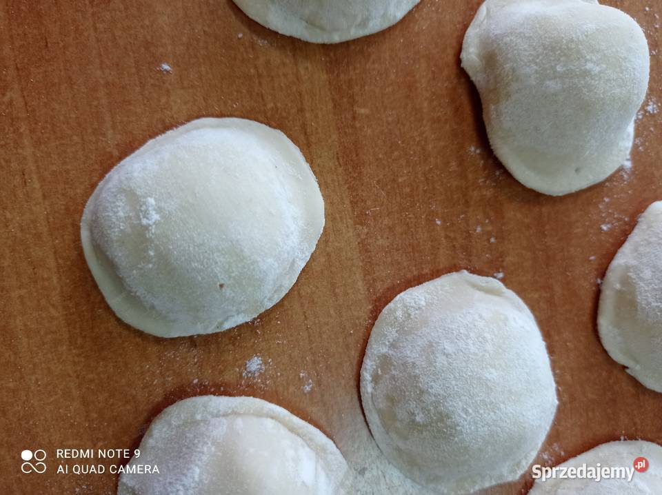 Pierogarka maszyna do pierogów Gastronomia Łódź