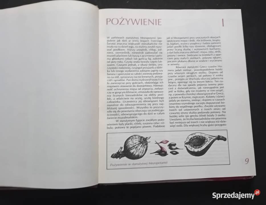Władysław Kopaliński Opowieści o rzeczach Antykwariat Antyki, Sztuka, Kolekcje Koźminek