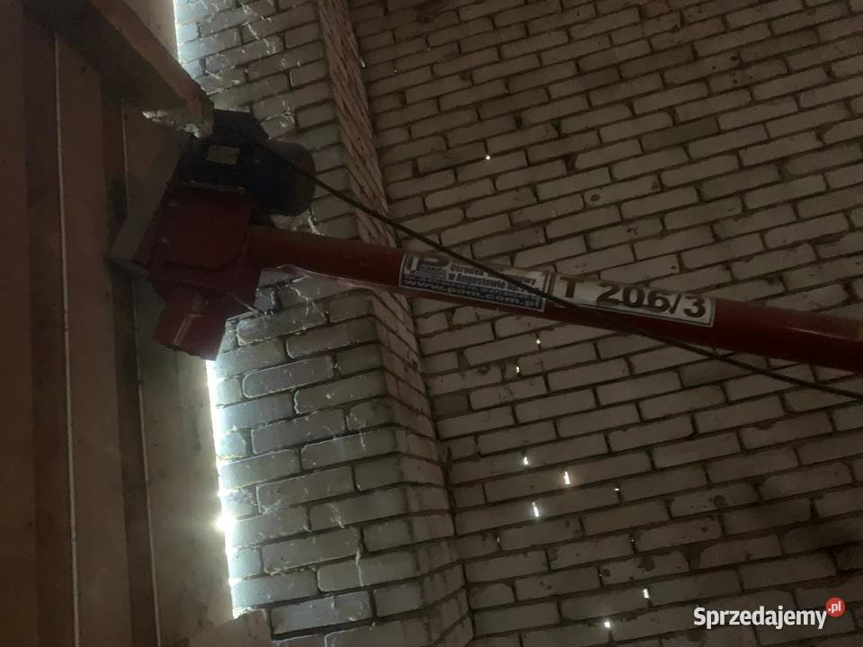 żmijka zbożowa Raczyce