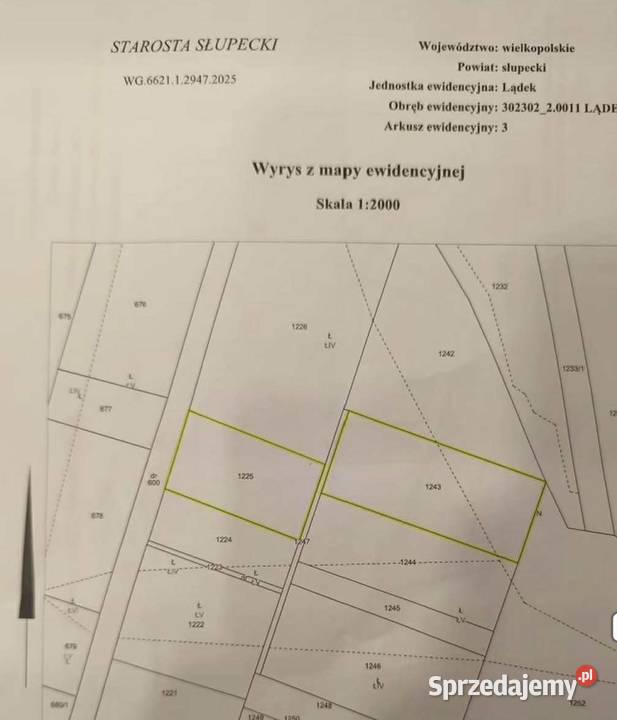 Dwie łąki na sprzedaż Lądek Sprzedaż