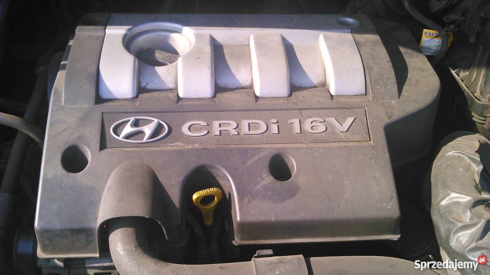 sprzedam Hyundai Trajet 2005 20 CRDi pierwszy właściciel Elbląg