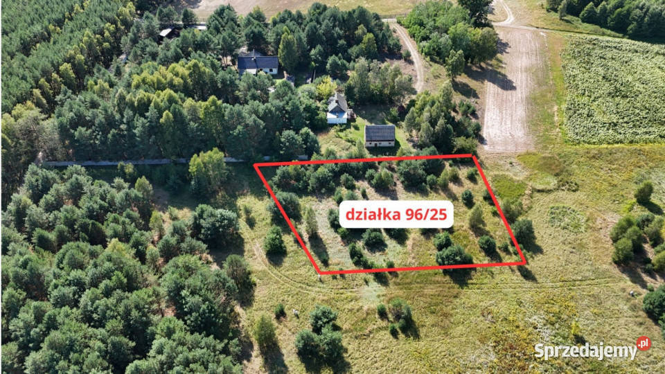 Działka w lesie 3006 m pozwolenie na budowę utwardzona Piłka