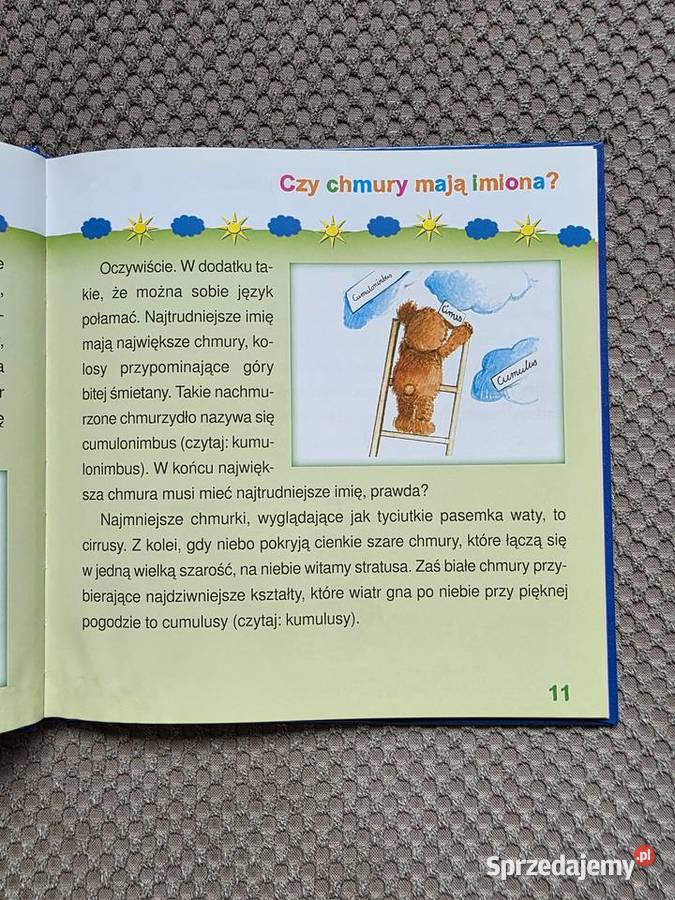 seria Zapytaj Misia o KLIMAT Kraków