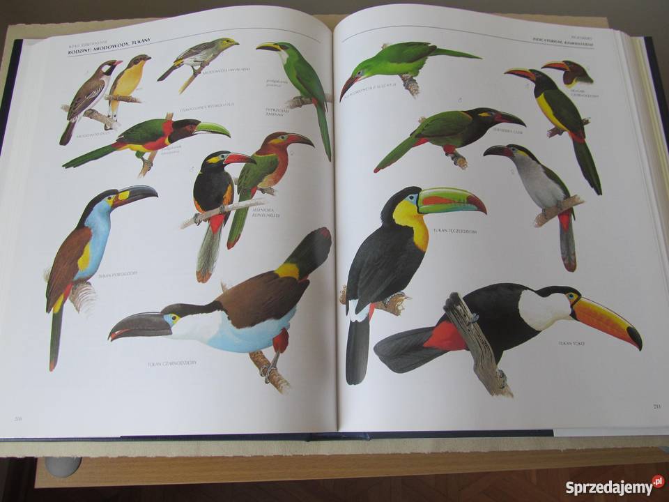 WIELKA ENCYKLOPEDIA PTAKÓW Perrins ChM Zielona Góra