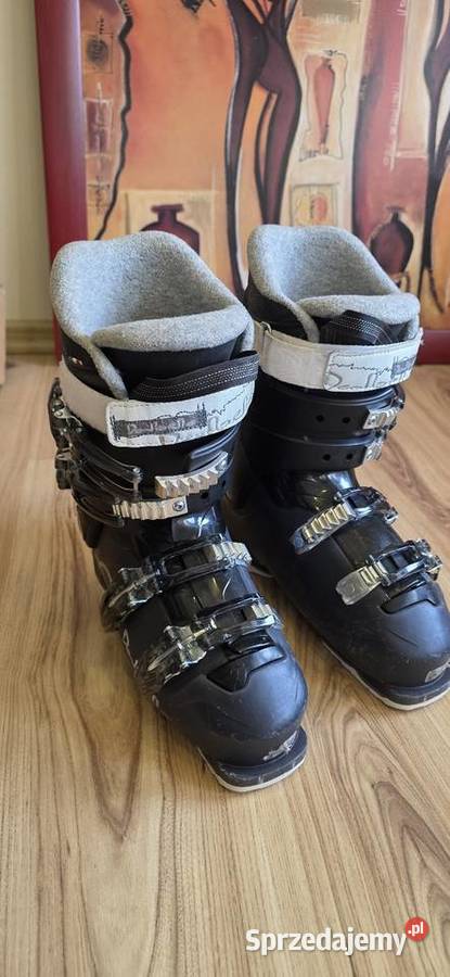 Buty narciarskie Dalbello 255 Żagań