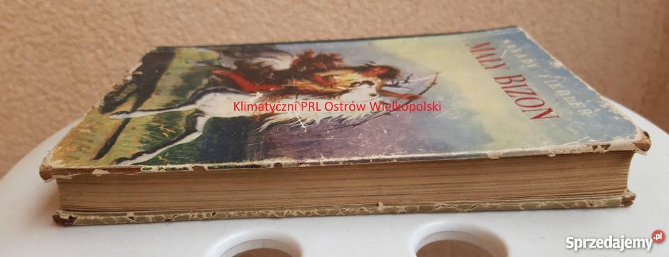 Mały Bizon Adrkady Fiedler Państwowe Wydawnictwo Antykwariat śląskie Bielsko-Biała sprzedam