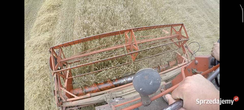Sprzedam Bizon Zo50 Ligota Prószkowska