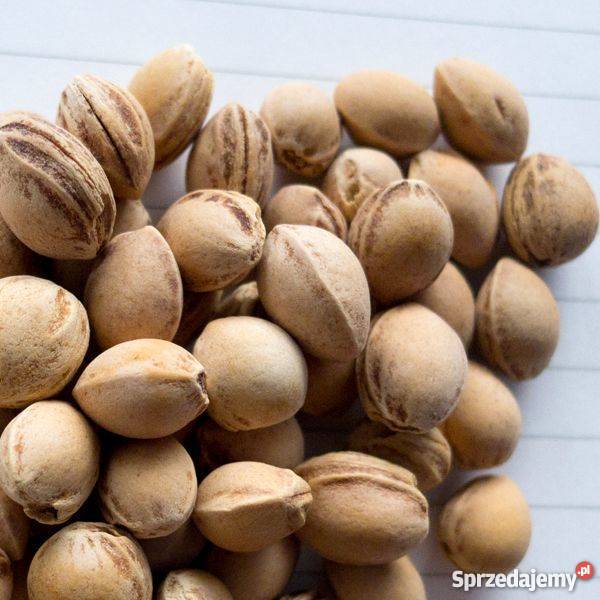 5 Eko Pestka Pestki Wiśni do Naturalnych Kliny