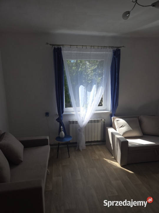 Wynajem mieszkania parter internet Katowice sprzedam