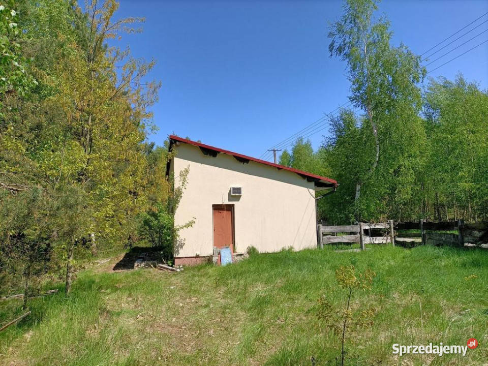 Dom na działce 4200 m2 w Gródku gm Policzna