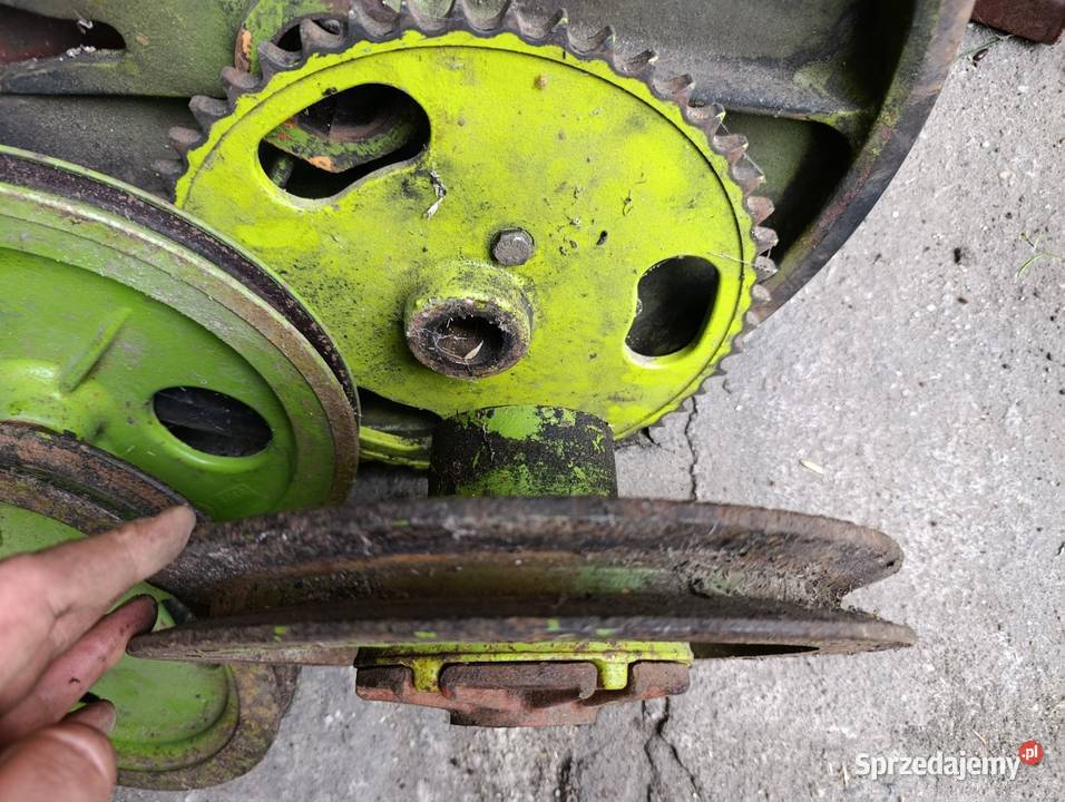 Koło podajnika że sprzęgłem Claas Dominator Do kombajnów Złoczew