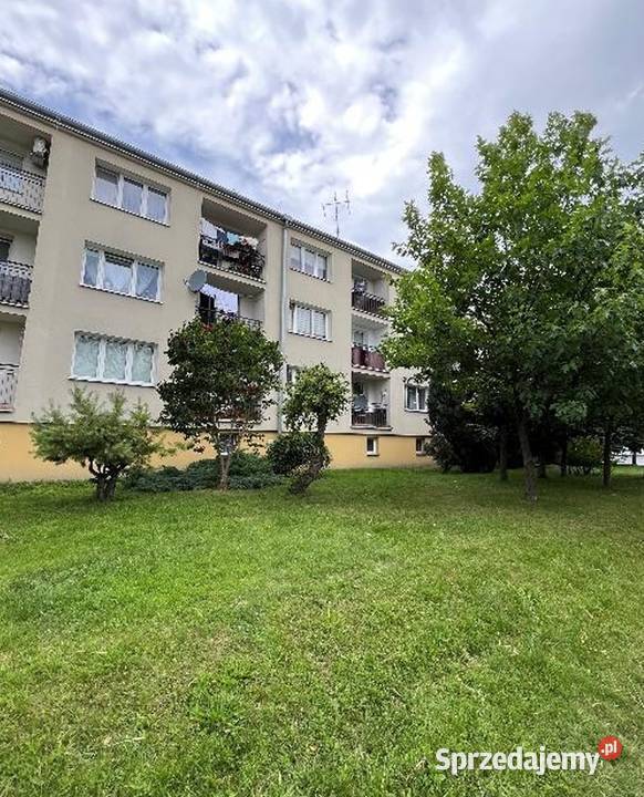 12 w mieszkaniu sprzeda syndyk