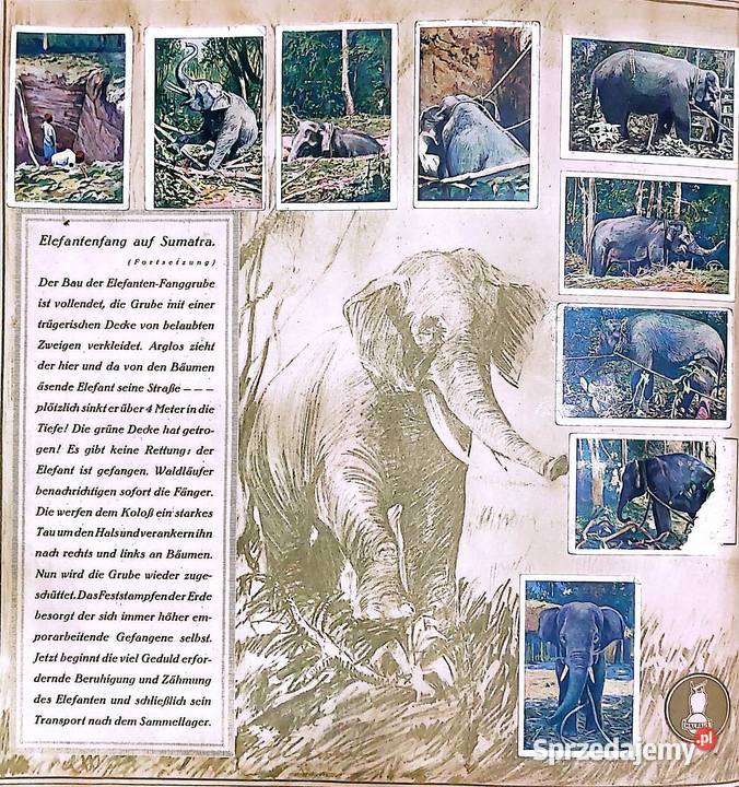 Allbum kolekcjonerski z 1929 r Mit Carl