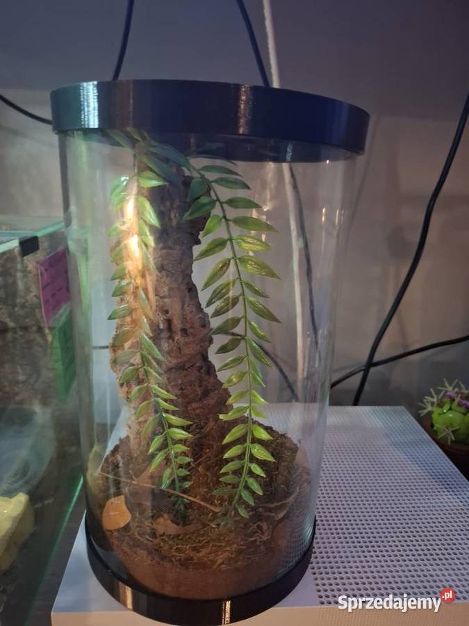 Tuba 15x25 mazowieckie Grudusk