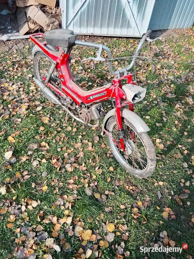 Starflite 50 Garbatka-Letnisko