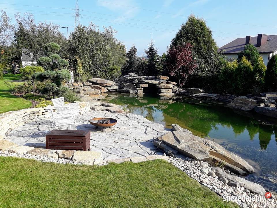 księżycowy łupek wielkopłytowy Księżyce