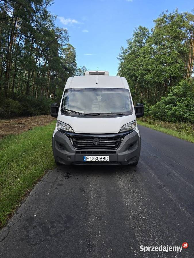 Fiat Ducato 23 Mutijet 2016r chłodnia FV23 lubuskie Nowe Miasteczko