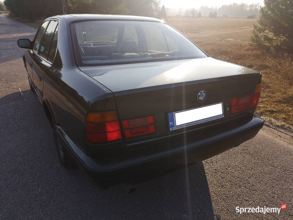 BMW e34 520i Sedan / Limuzyna Drzewica