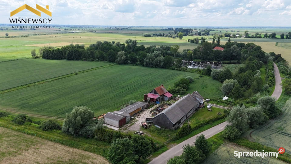 13 działek z WZ Świerznica 199 m siedliskowa
