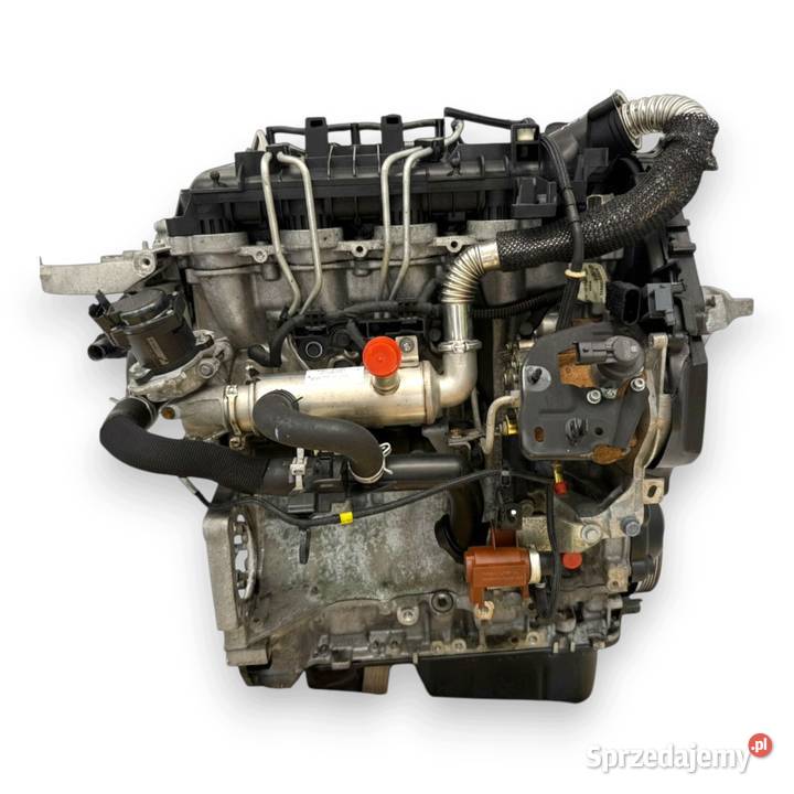 SILNIK KOMPLETNY G8DD Ford Focus II MK2 C C 16 Chełm