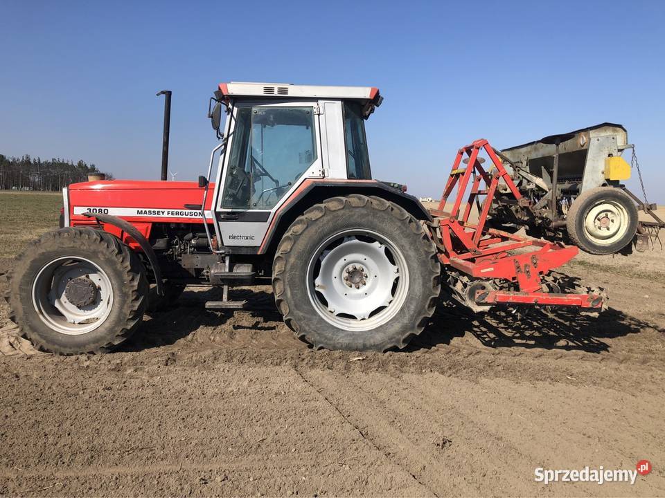Massey Ferguson 3080 Golub-Dobrzyń