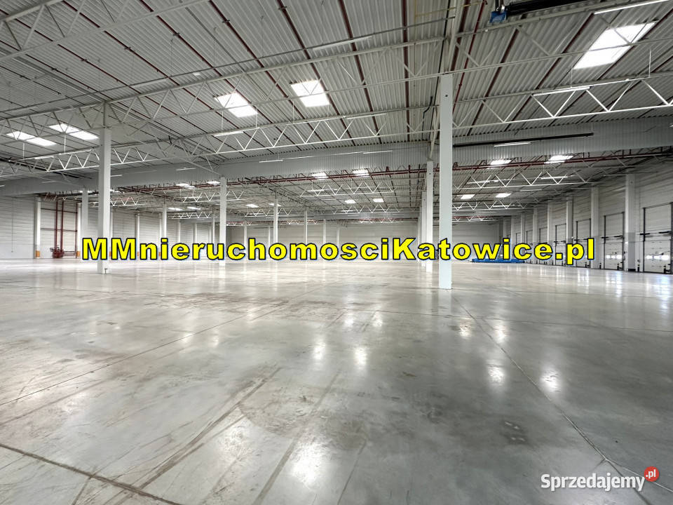 Magazyny 2500 do 23000 m2 Piotrków Trybunalski sprzedam