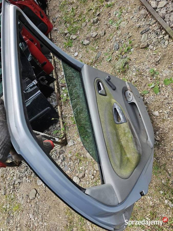 Drzwi scenic 1 lewy tył Łagów sprzedam