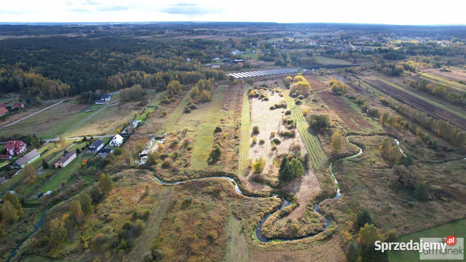 sprzedaży działki 2894 metry Korczów lubelskie