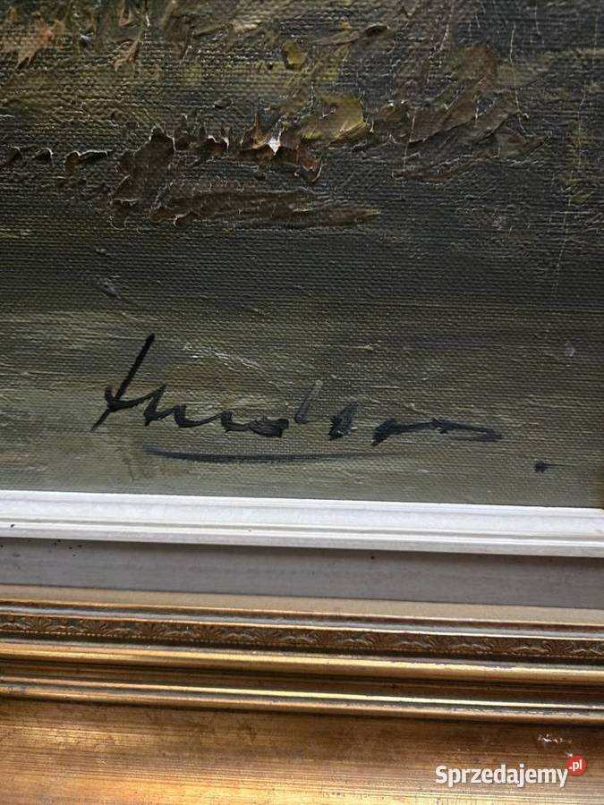 Obraz na Płótnie w Złotej ramie pejzaż Kalisz sprzedam