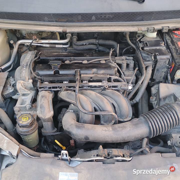 Ford Focus 16 Benzyna 2007 Sprzedaz Zamiana Bychawa