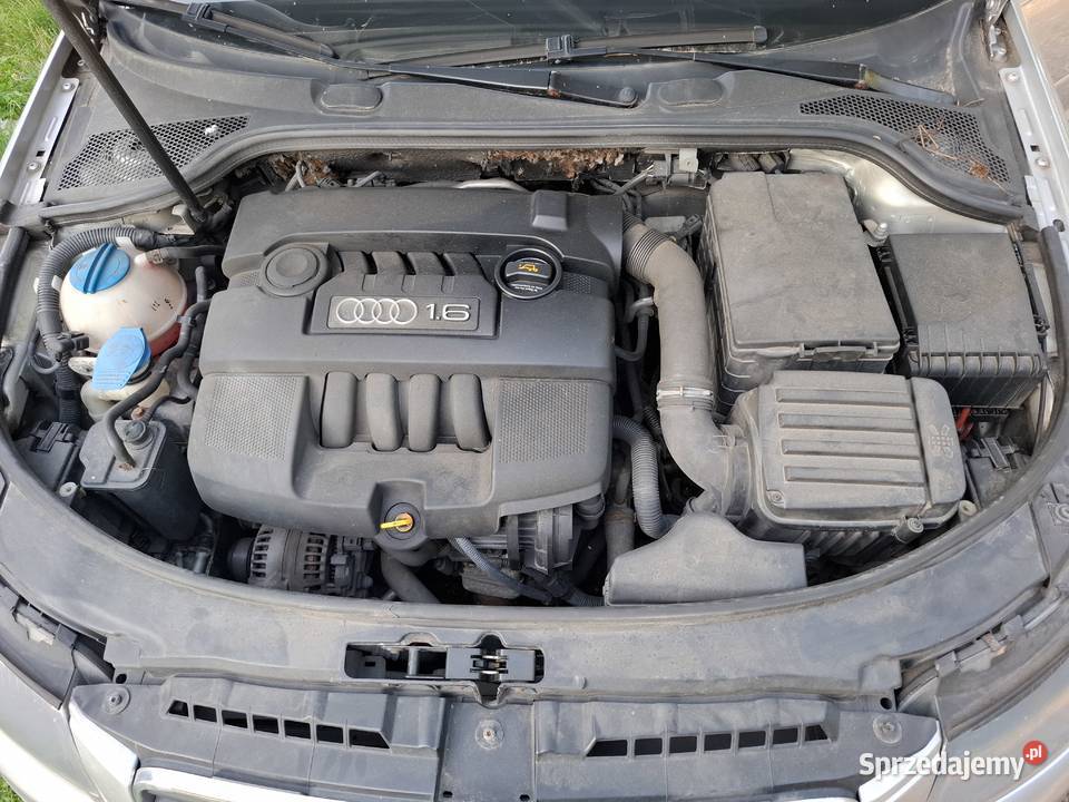 Audi a3 16 benzyna mpi Strzegom