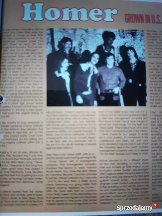 Archiwum psych hard rocka HOMER Grown in USA Płyty i kasety Rzeszów