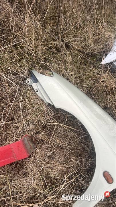 Blotnik lewy renault megane 1 osobowe wielkopolskie Margonin
