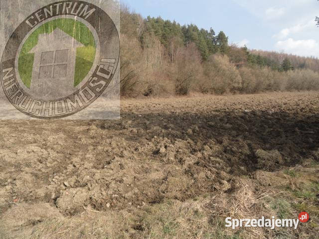 Działka 2566m2 RoztokaBrzeziny Roztoka-Brzeziny