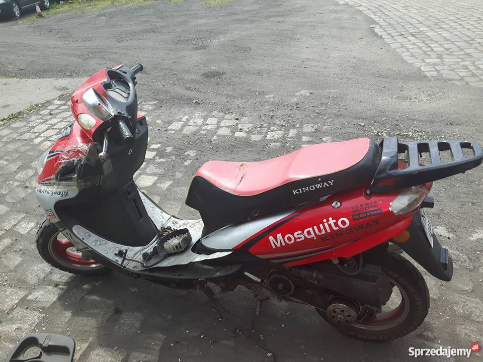 Kingway Mosquito dolnośląskie Wrocław