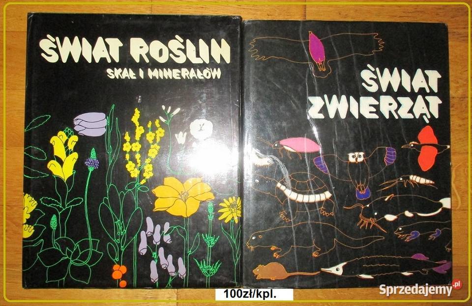 Grzyby leśne grzyby grzybiarstwo runo leśnelas Łódź