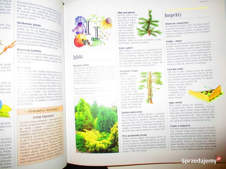 1001 sposobów na piękny ogród ogrodnictwo ogród Łódź