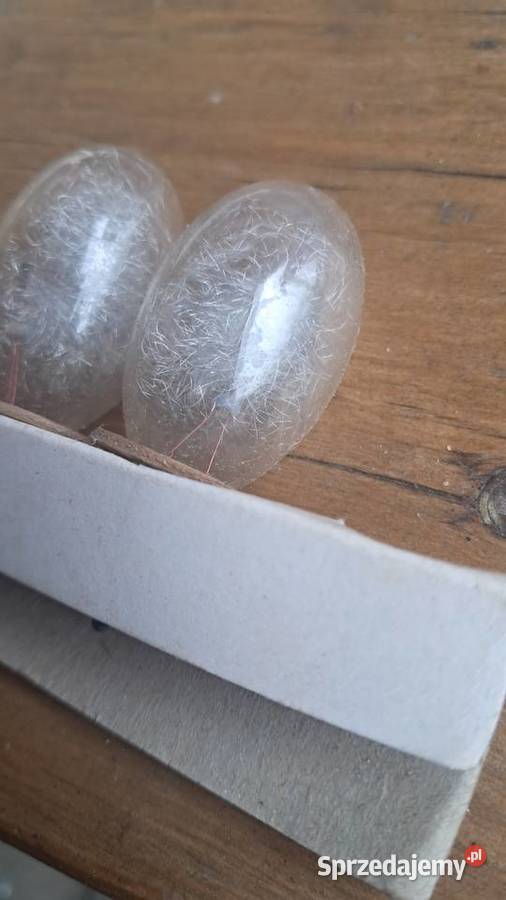 Polam Żarówki Spaleniowe LB1 Do Lamp Błyskowych Pozostałe Świecie