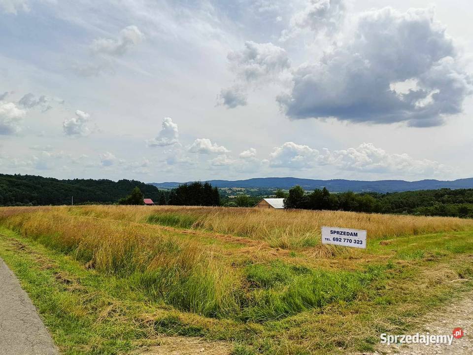 Działka budowlano inwestycyjna w Ryglicach Sprzedaż Ryglice